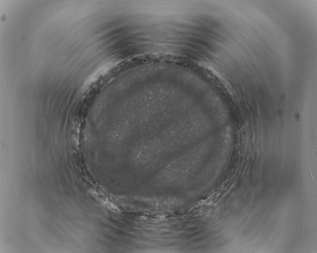 X0000088030919200705251113