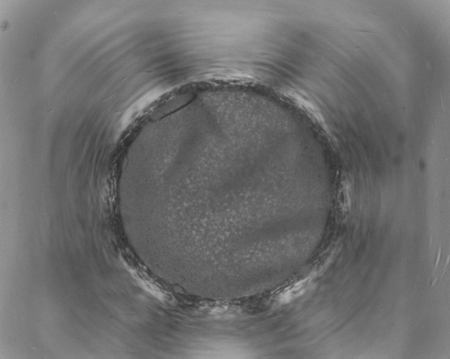 X0000088030920200705251113