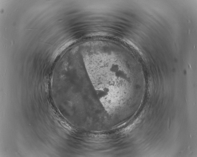 X0000088030921200705251113