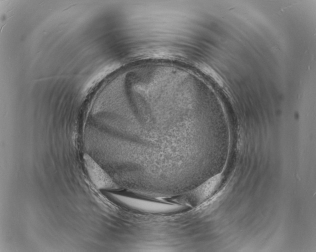 X0000088030922200705251113