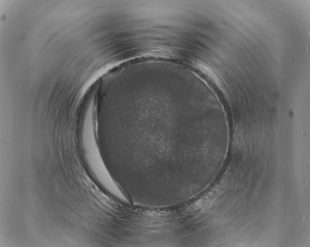 X0000088030923200705251113