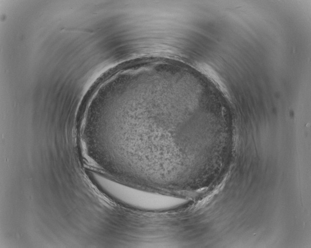 X0000088030924200705251113