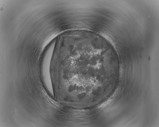 X0000088030925200705251113