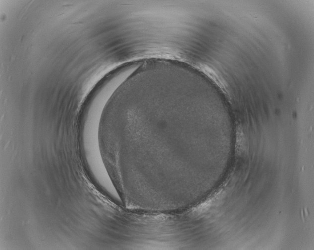 X0000088030926200705251113