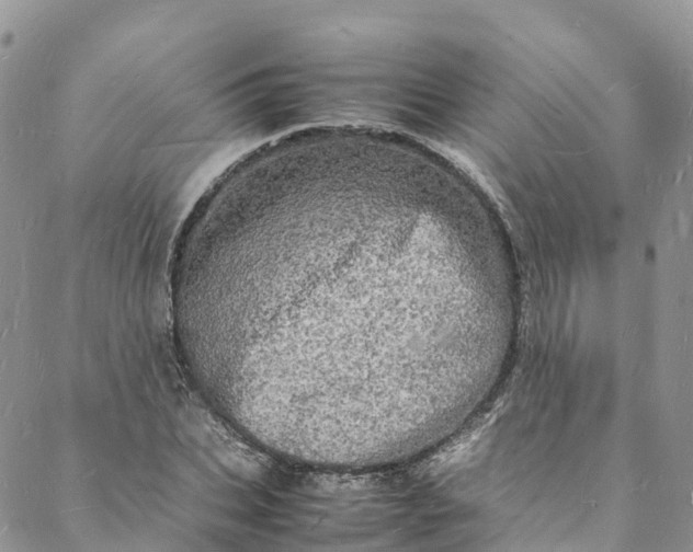 X0000088030927200705251113