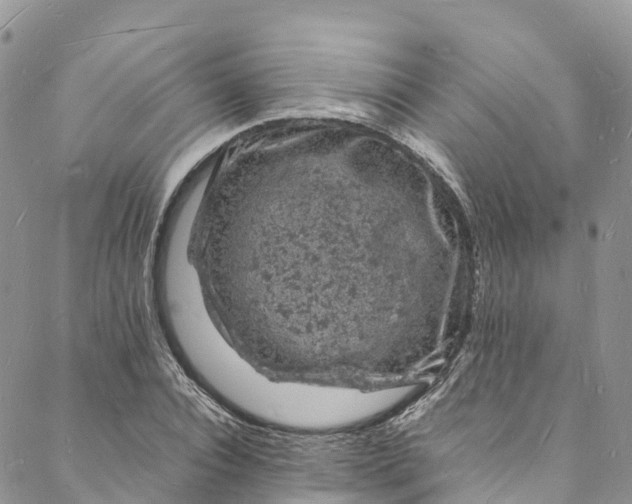 X0000088030928200705251113