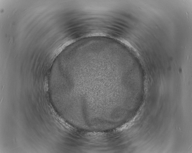 X0000088030929200705251113