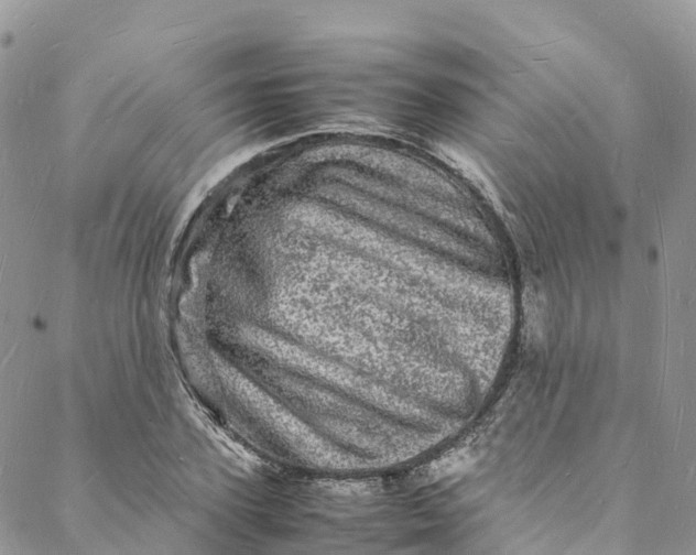 X0000088030931200705251113