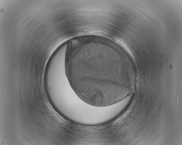 X0000088030932200705251113