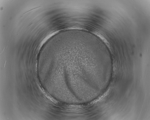 X0000088030933200705251113