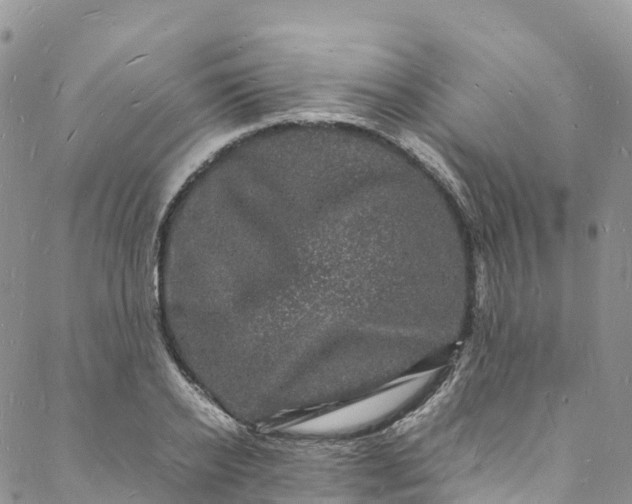 X0000088030934200705251113