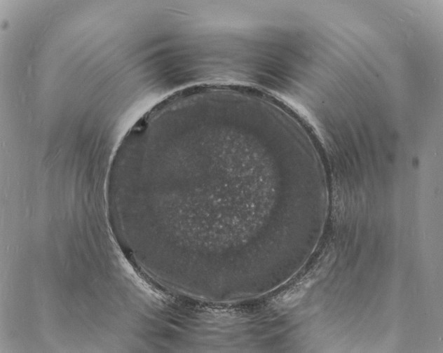 X0000088030935200705251113