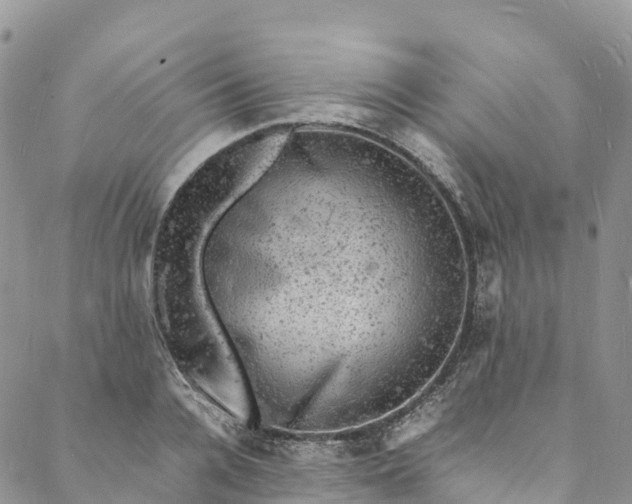 X0000088030936200705251113