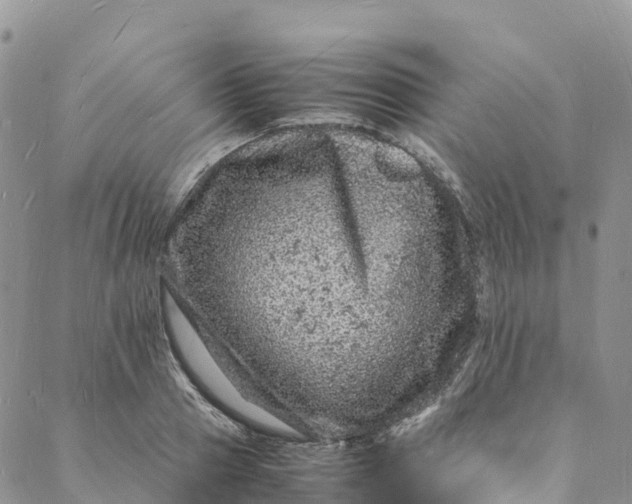 X0000088030937200705251113