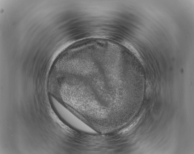 X0000088030939200705251113