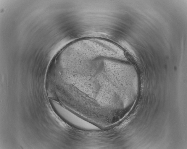 X0000088030940200705251113