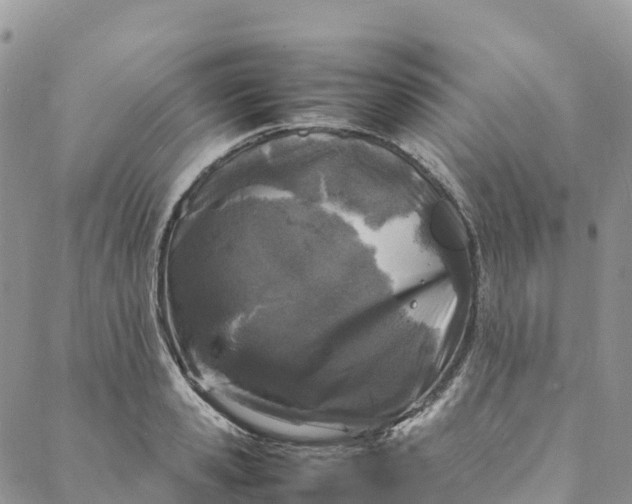 X0000088030941200705251113