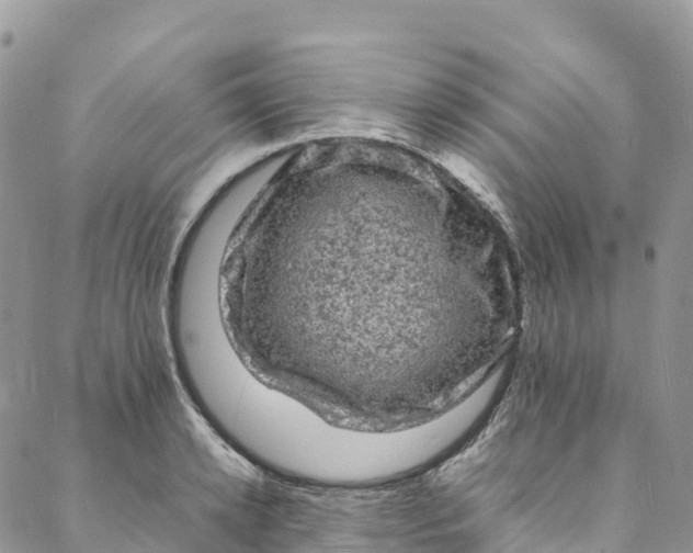 X0000088030942200705251113