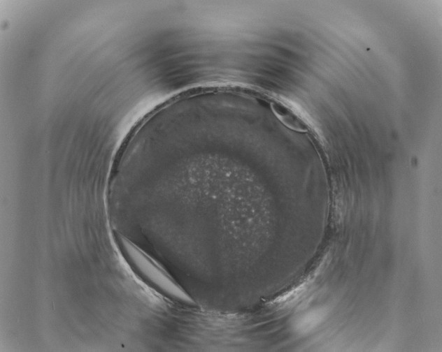 X0000088030943200705251113