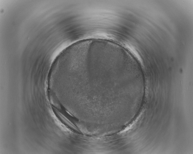 X0000088030944200705251113