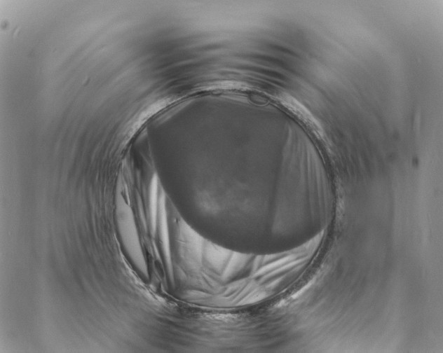 X0000088030945200705251113