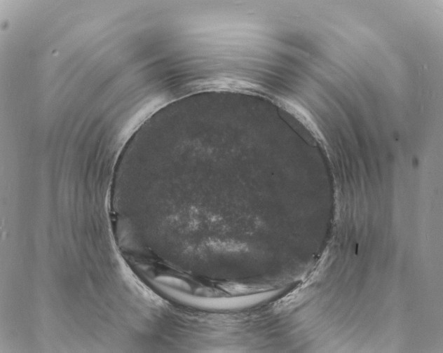 X0000088030946200705251113