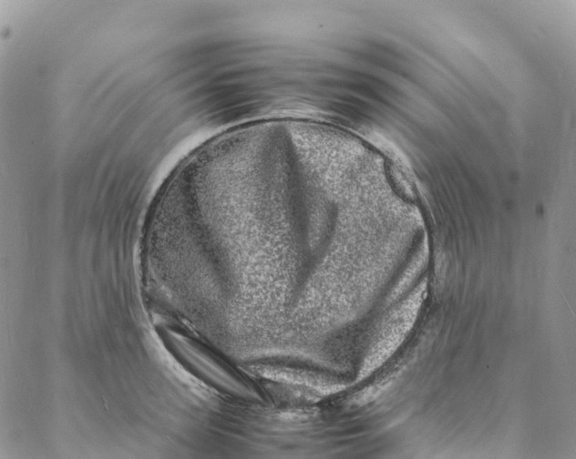 X0000088030947200705251113