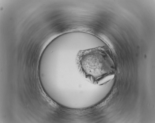 X0000088030948200705251113