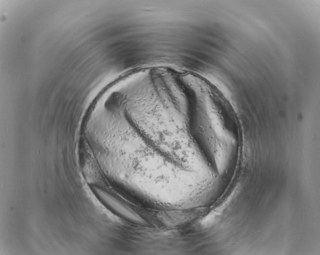 X0000088030949200705251113