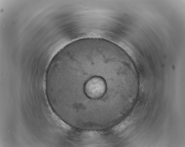 X0000088030950200705251113