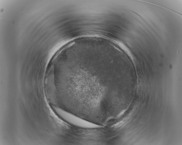 X0000088030951200705251113