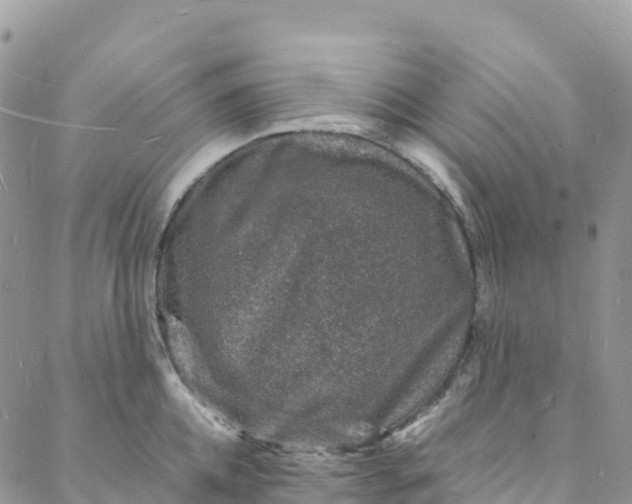 X0000088030952200705251113