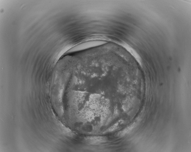 X0000088030953200705251113