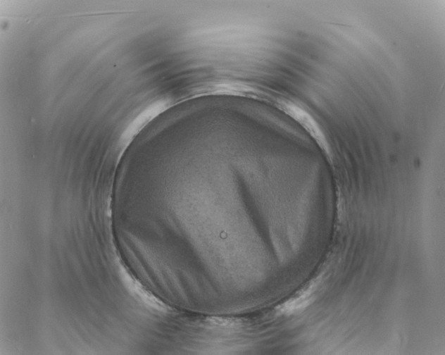 X0000088030954200705251113