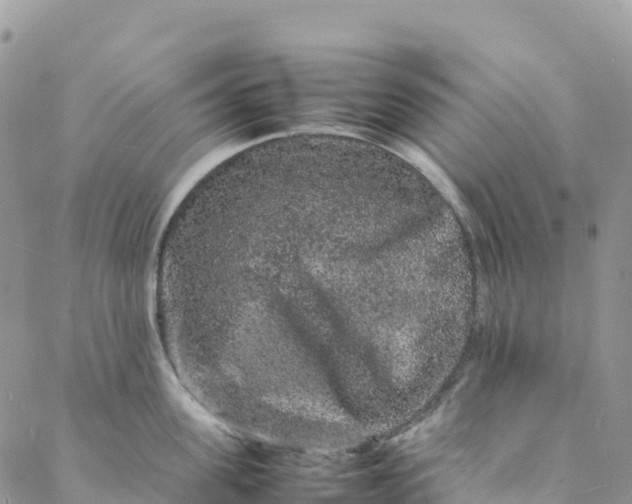 X0000088030955200705251113