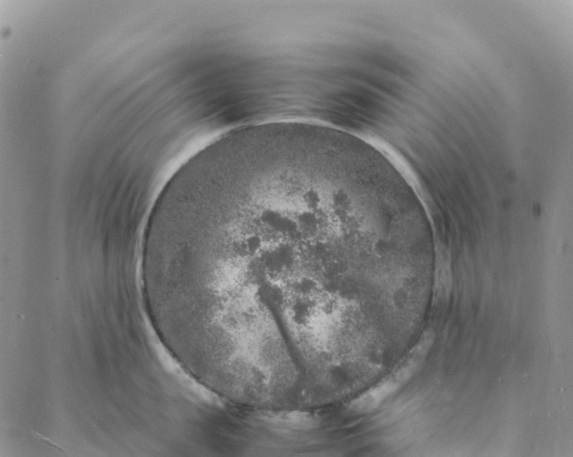 X0000088030957200705251113