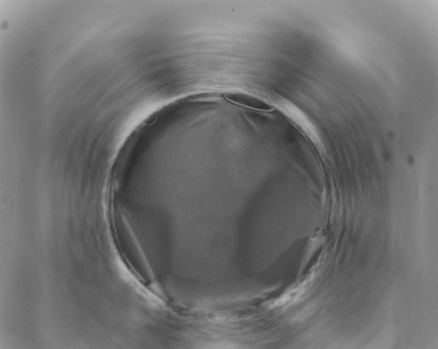 X0000088030958200705251113