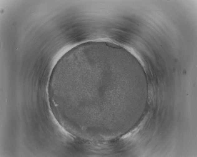 X0000088030959200705251113