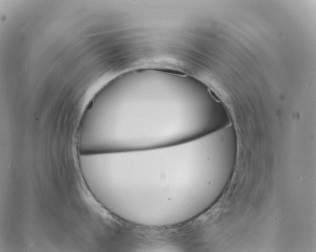 X0000088030960200705251113