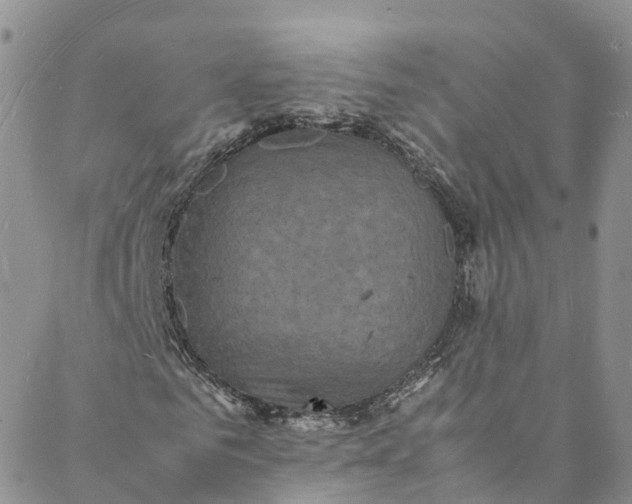 X0000088030961200705251112