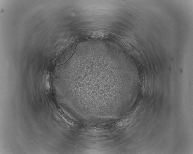 X0000088030962200705251112