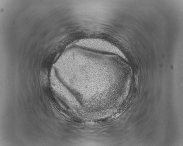 X0000088030963200705251112