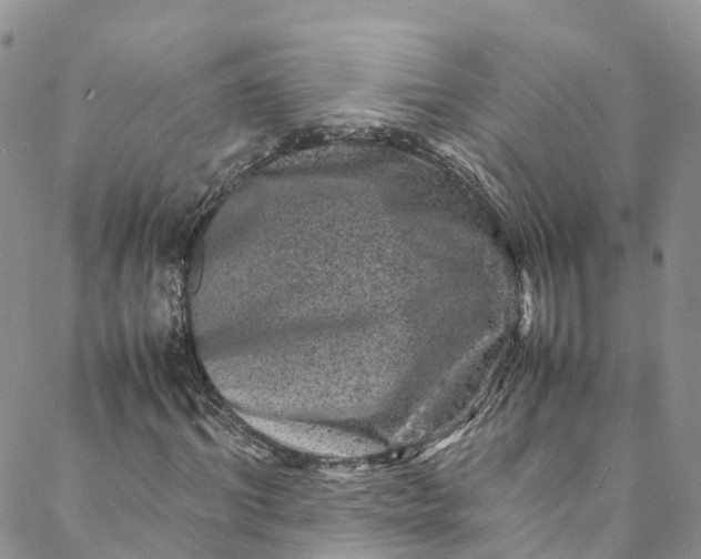 X0000088030964200705251112