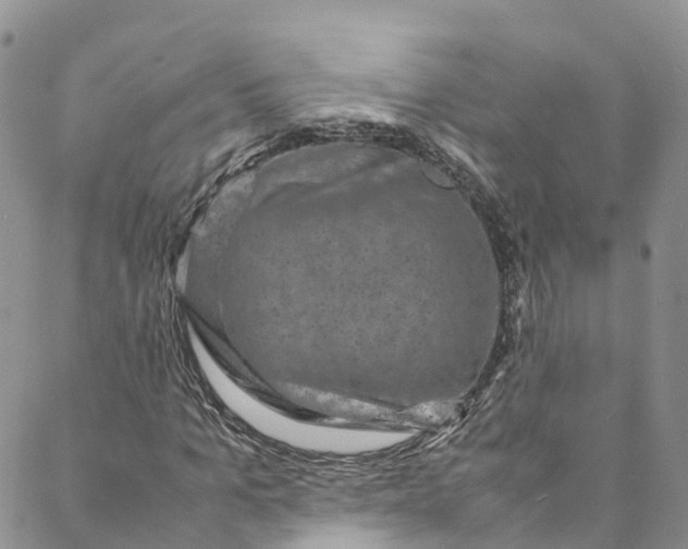 X0000088030965200705251112