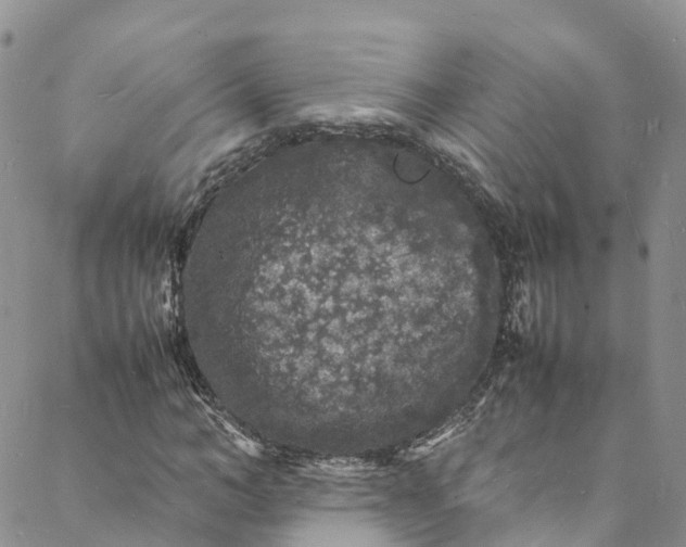 X0000088030966200705251112