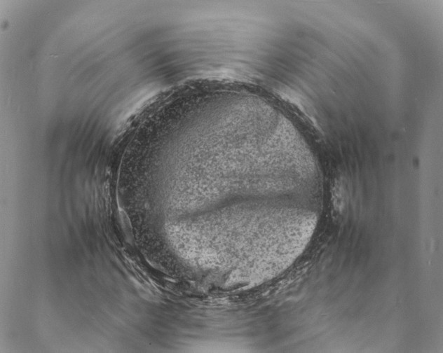 X0000088030968200705251112