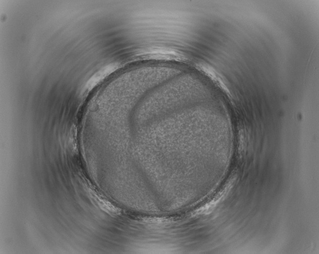 X0000088030970200705251112