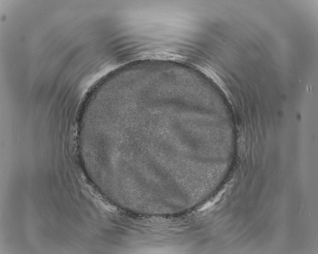 X0000088030971200705251112