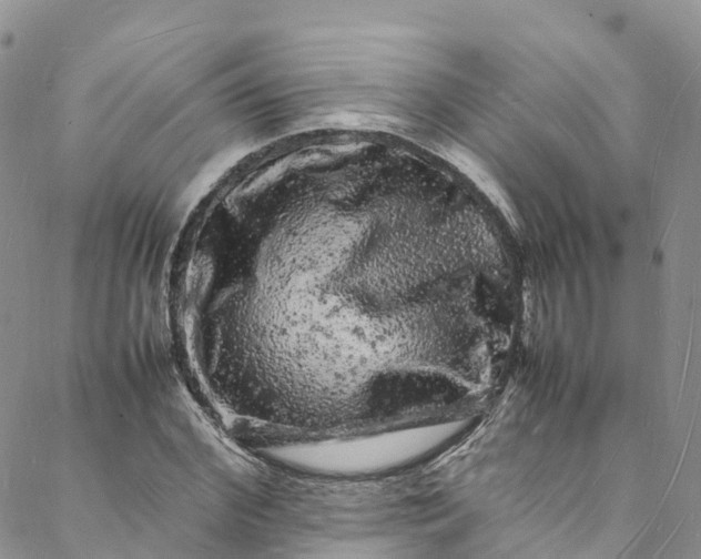 X0000088030972200705251112