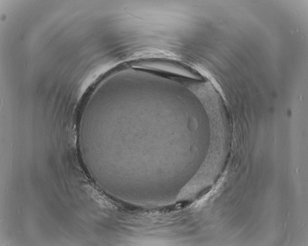 X0000088030973200705251112